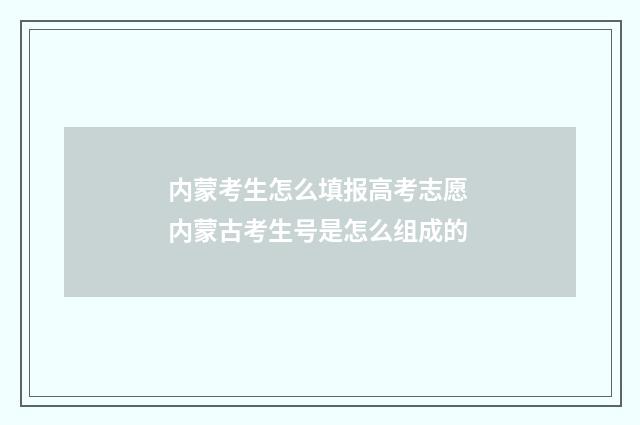内蒙考生怎么填报高考志愿 内蒙古考生号是怎么组成的