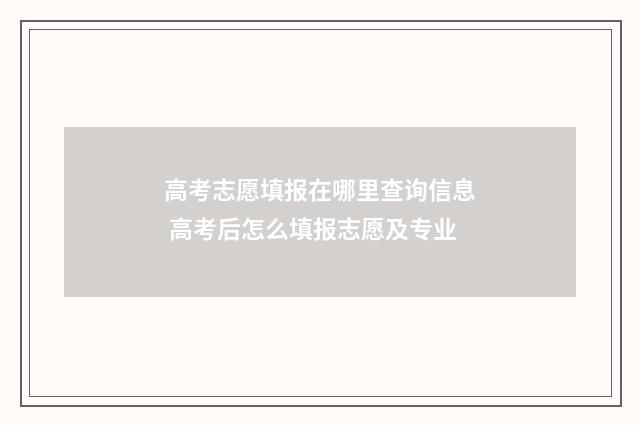 高考志愿填报在哪里查询信息 高考后怎么填报志愿及专业