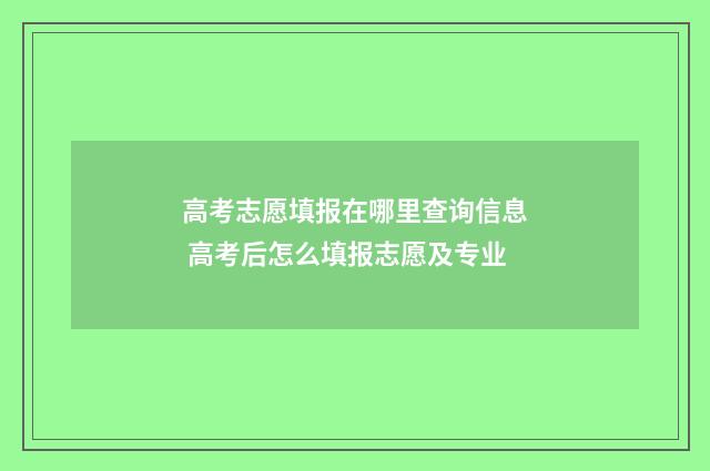 高考志愿填报在哪里查询信息 高考后怎么填报志愿及专业