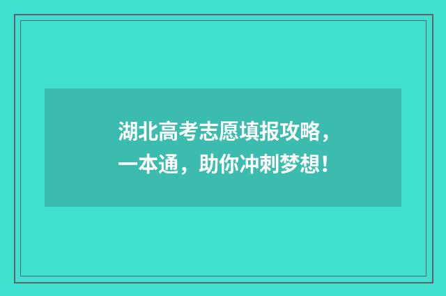 湖北高考志愿填报攻略，一本通，助你冲刺梦想！