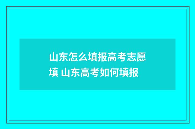 山东怎么填报高考志愿填 山东高考如何填报