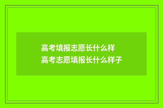 高考填报志愿长什么样 高考志愿填报长什么样子