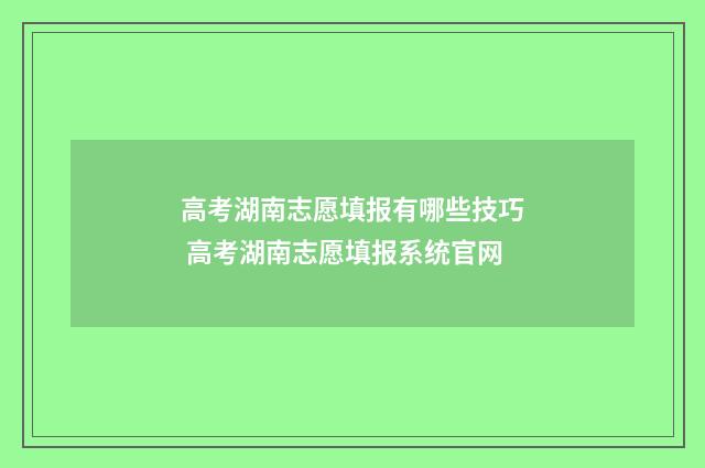 高考湖南志愿填报有哪些技巧 高考湖南志愿填报系统官网