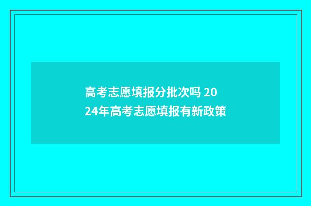 高考志愿填报分批次吗 2024年高考志愿填报有新政策