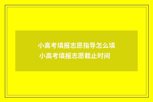 小高考填报志愿指导怎么填 小高考填报志愿截止时间