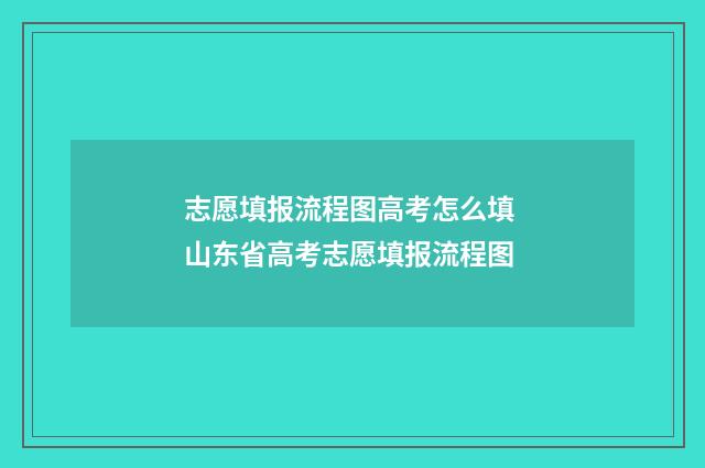 志愿填报流程图高考怎么填 山东省高考志愿填报流程图