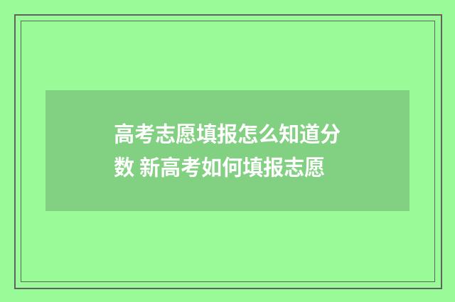 高考志愿填报怎么知道分数 新高考如何填报志愿