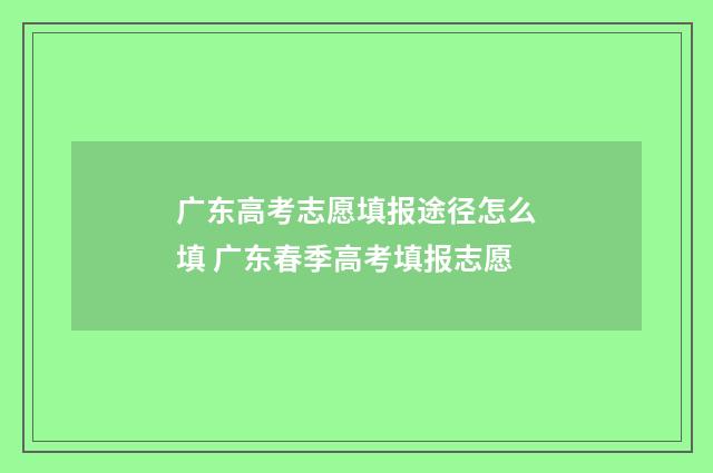 广东高考志愿填报途径怎么填 广东春季高考填报志愿