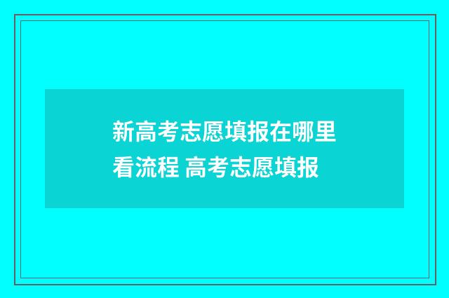 新高考志愿填报在哪里看流程 高考志愿填报