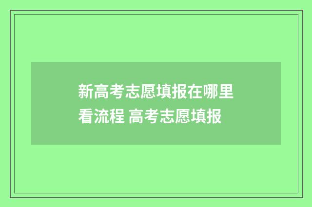 新高考志愿填报在哪里看流程 高考志愿填报