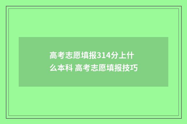 高考志愿填报314分上什么本科 高考志愿填报技巧