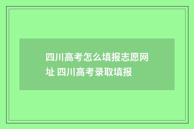 四川高考怎么填报志愿网址 四川高考录取填报