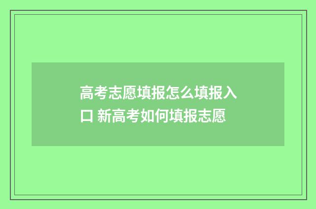 高考志愿填报怎么填报入口 新高考如何填报志愿