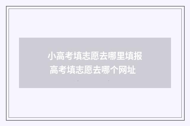 小高考填志愿去哪里填报 高考填志愿去哪个网址