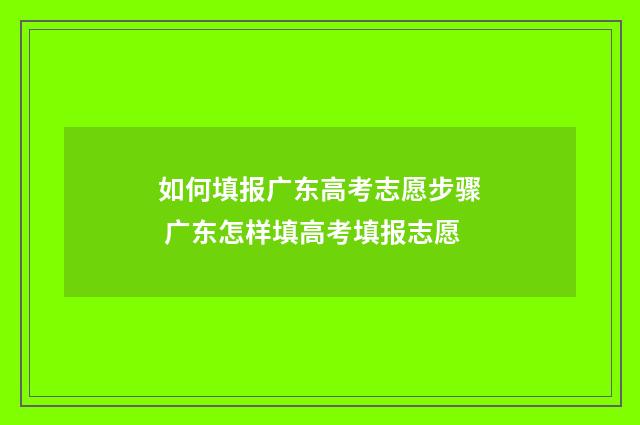 如何填报广东高考志愿步骤 广东怎样填高考填报志愿