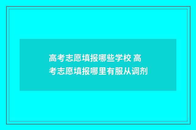 高考志愿填报哪些学校 高考志愿填报哪里有服从调剂