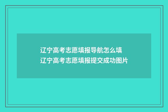 辽宁高考志愿填报导航怎么填 辽宁高考志愿填报提交成功图片
