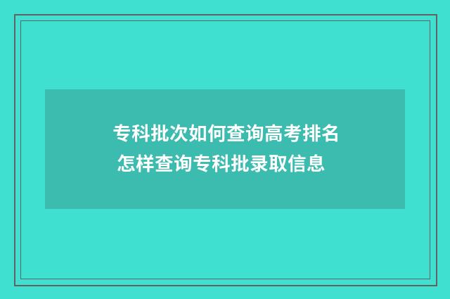 专科批次如何查询高考排名 怎样查询专科批录取信息