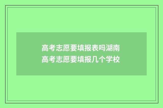 高考志愿要填报表吗湖南 高考志愿要填报几个学校