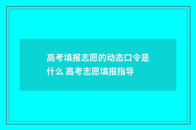 高考填报志愿的动态口令是什么 高考志愿填报指导