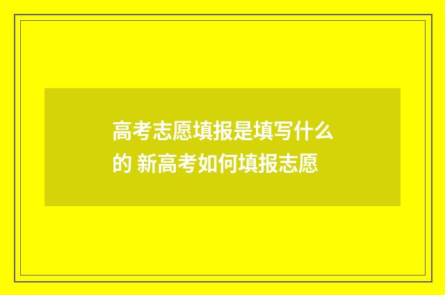 高考志愿填报是填写什么的 新高考如何填报志愿