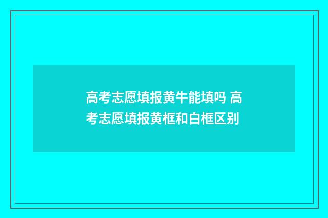 高考志愿填报黄牛能填吗 高考志愿填报黄框和白框区别