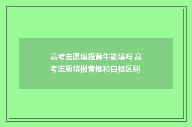 高考志愿填报黄牛能填吗 高考志愿填报黄框和白框区别