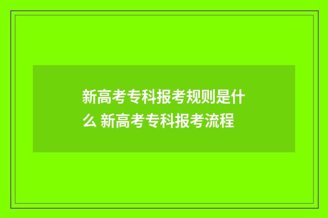 新高考专科报考规则是什么 新高考专科报考流程