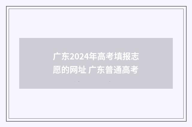 广东2024年高考填报志愿的网址 广东普通高考
