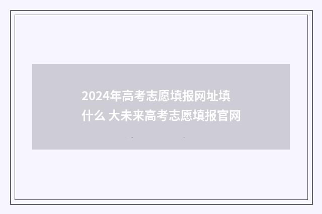 2024年高考志愿填报网址填什么 大未来高考志愿填报官网