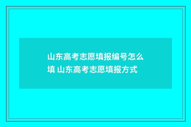 山东高考志愿填报编号怎么填 山东高考志愿填报方式
