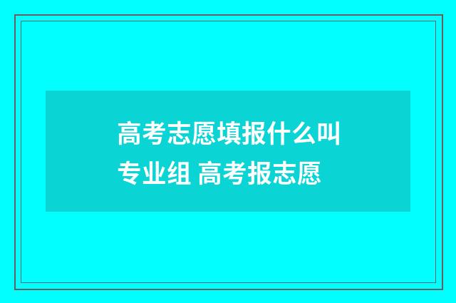 高考志愿填报什么叫专业组 高考报志愿