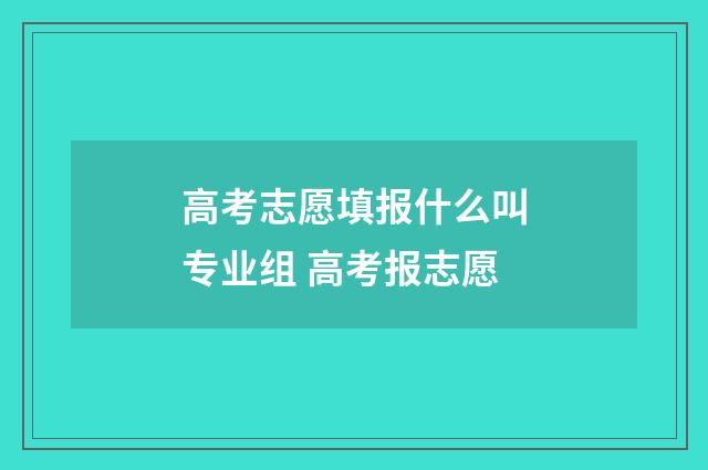 高考志愿填报什么叫专业组 高考报志愿