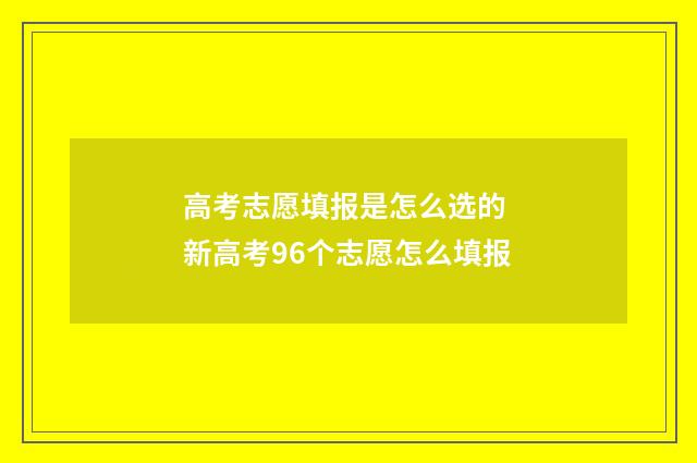 高考志愿填报是怎么选的 新高考96个志愿怎么填报
