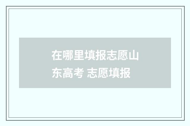 在哪里填报志愿山东高考 志愿填报