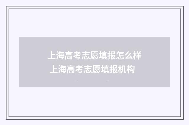 上海高考志愿填报怎么样 上海高考志愿填报机构