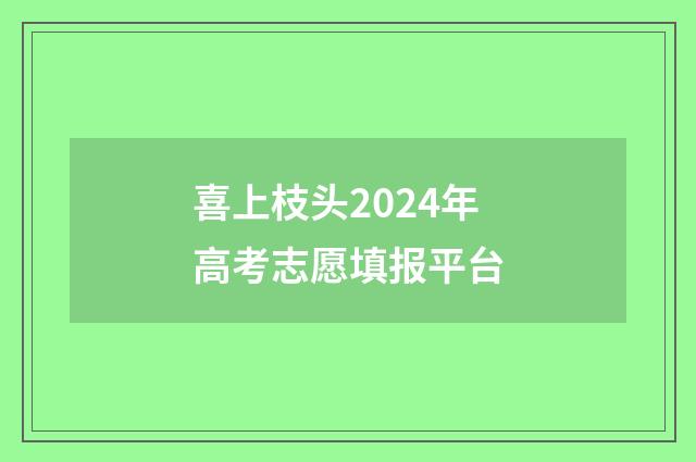 喜上枝头2024年高考志愿填报平台