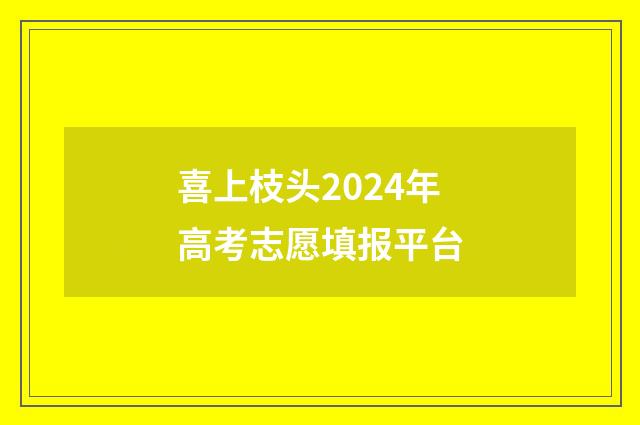 喜上枝头2024年高考志愿填报平台