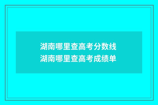 湖南哪里查高考分数线 湖南哪里查高考成绩单