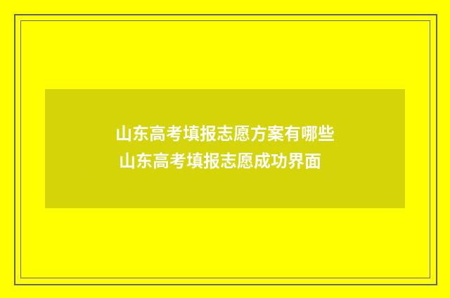 山东高考填报志愿方案有哪些 山东高考填报志愿成功界面