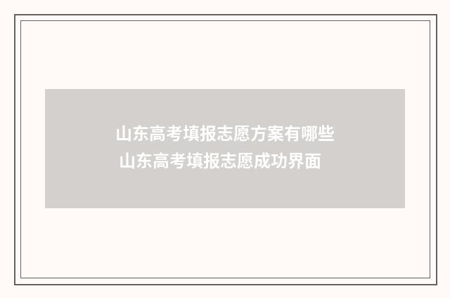 山东高考填报志愿方案有哪些 山东高考填报志愿成功界面