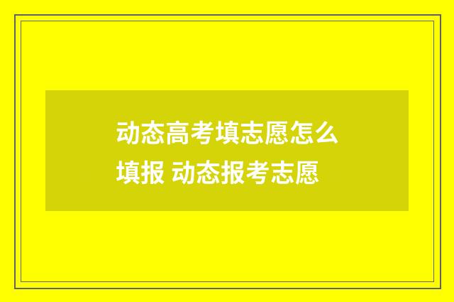 动态高考填志愿怎么填报 动态报考志愿