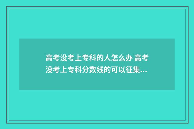 高考没考上专科的人怎么办 高考没考上专科分数线的可以征集吗?