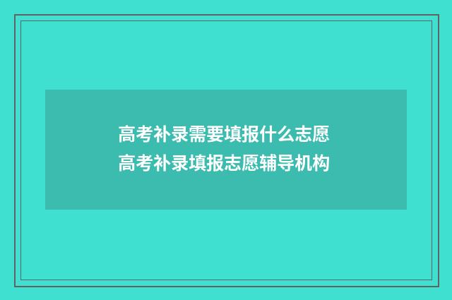 高考补录需要填报什么志愿 高考补录填报志愿辅导机构