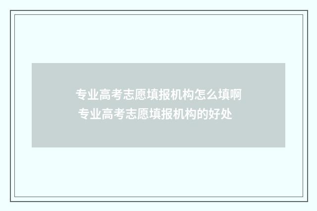 专业高考志愿填报机构怎么填啊 专业高考志愿填报机构的好处