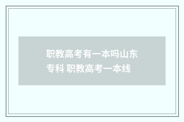 职教高考有一本吗山东专科 职教高考一本线