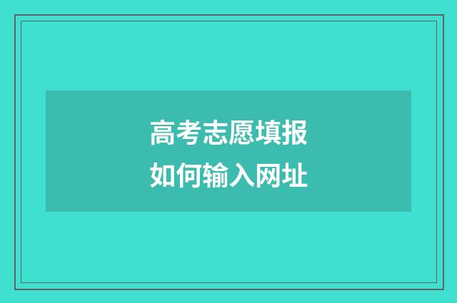 高考志愿填报如何输入网址