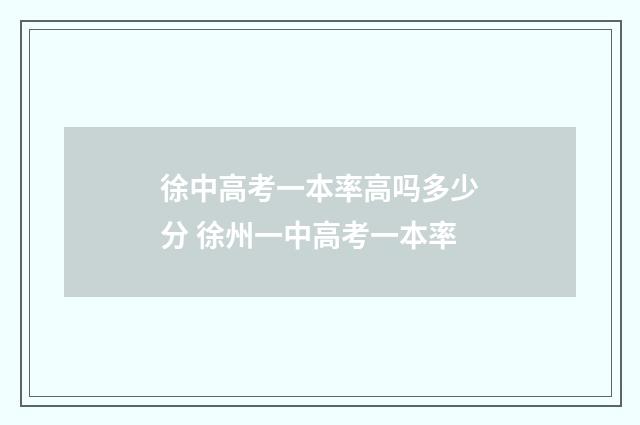徐中高考一本率高吗多少分 徐州一中高考一本率