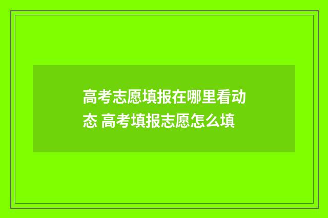 高考志愿填报在哪里看动态 高考填报志愿怎么填