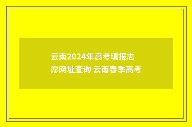 云南2024年高考填报志愿网址查询 云南春季高考
